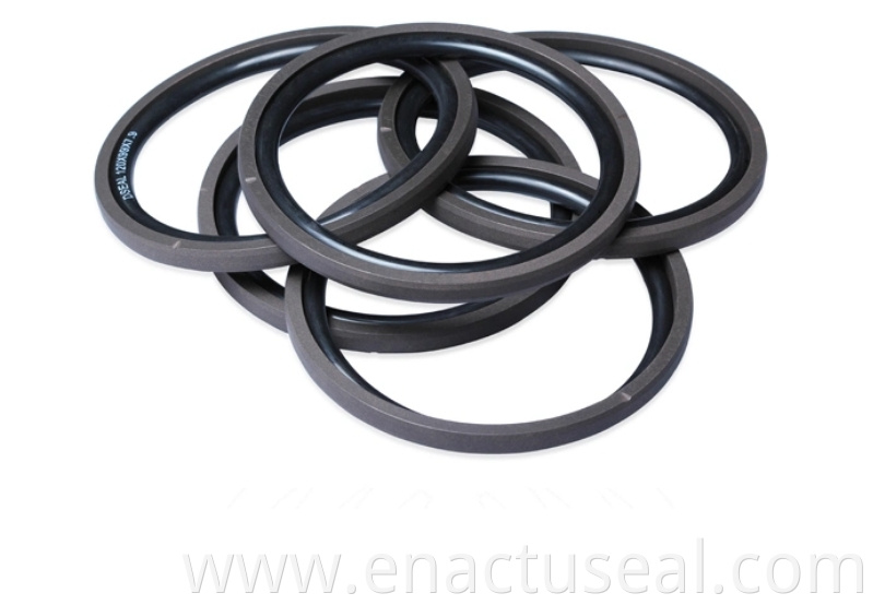 PTFE Oil Seals